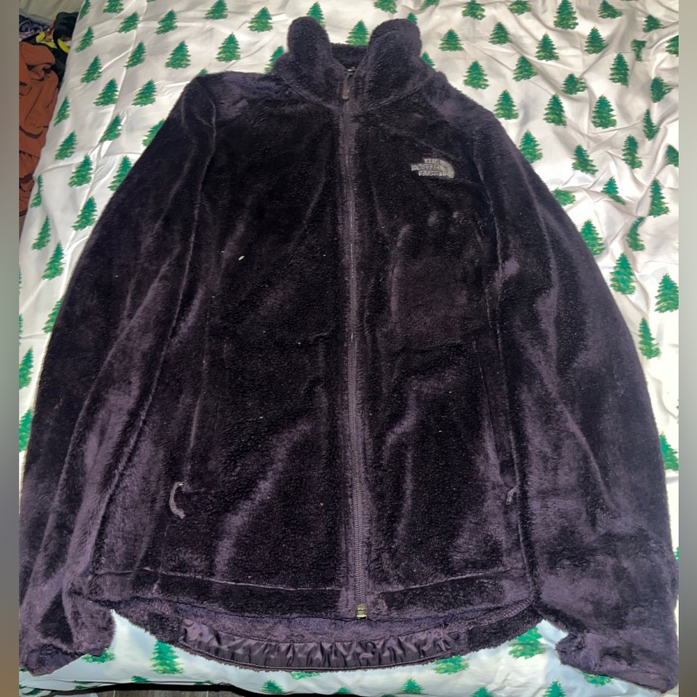 The North Face Plush Fleece in Deep Purple